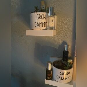 For Joe Malonesamples , succulents optional